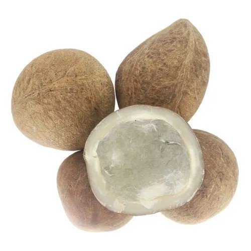 Dry Coconuts for Ayurvedic Medicine