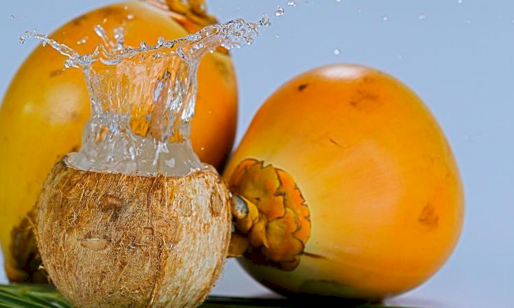 Fresh King Coconut