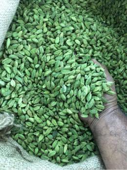 Green Cardamom