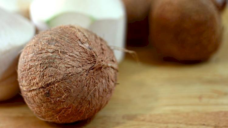 Semi Husked Coconuts