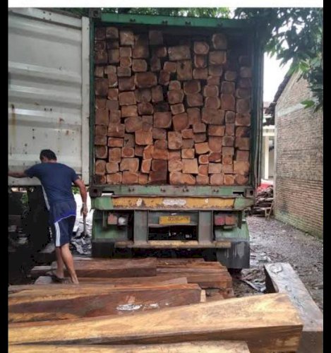 Timber